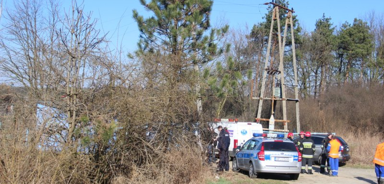 Śmierć Wiktorii: To jednak było zabójstwo