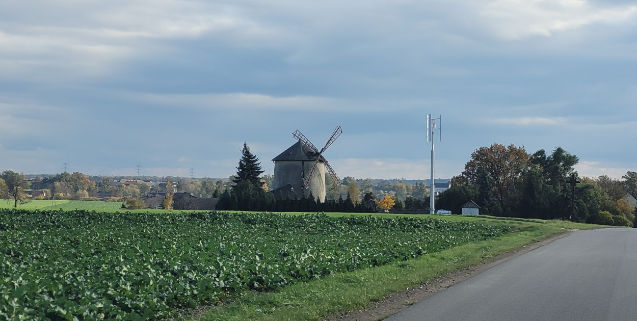 Wiatrak w Łowkowicach (Gmina Strzeleczki)
