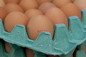 Salmonella na jajach znanej marki. Nie jedz, jeśli masz je w lodówce!-17422