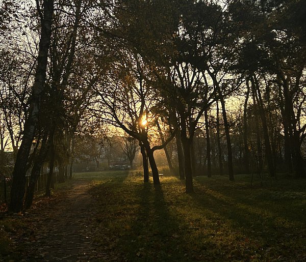 Nadchodzi najkrótszy dzień w 2025 roku. Sprawdź, kiedy przypadnie-18356